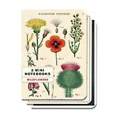 Cavallini & Co. Mini Notebooks (Set of 3)