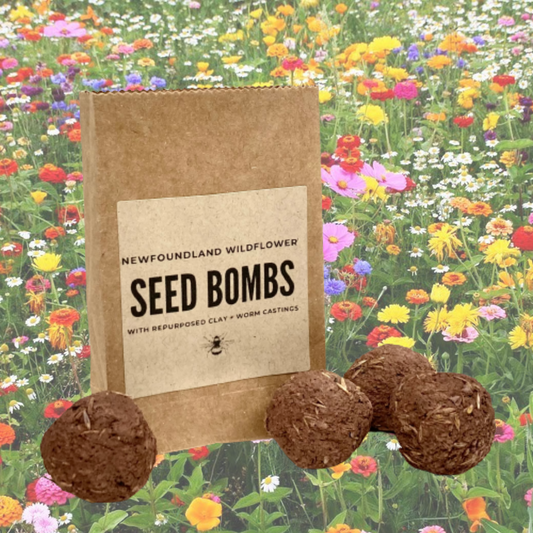 Newfoundland Wildflower Seed Bombs