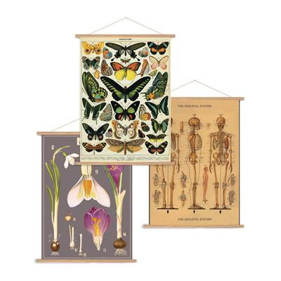 Cavallini & Co. Vintage Poster Hanging Kits