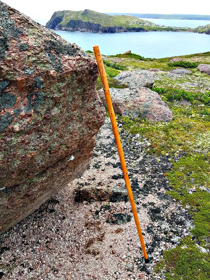 Balsama Hiking Stick