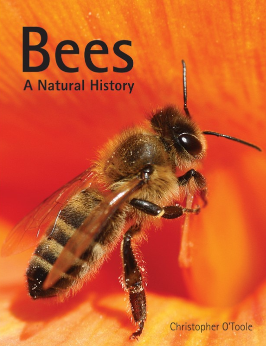Bees: A Natural History by Christopher O'Toole