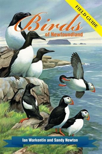 Field Guide: Birds of Newfoundland by Ian Warkentin & Sandy Newton