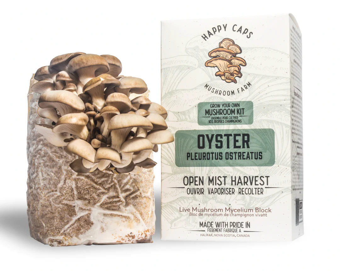 Happy Caps Grow Your Own Mushroom Kit