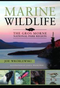 Marine Wildlife of the Gros Morne National Park Region by Joe Wroblewski