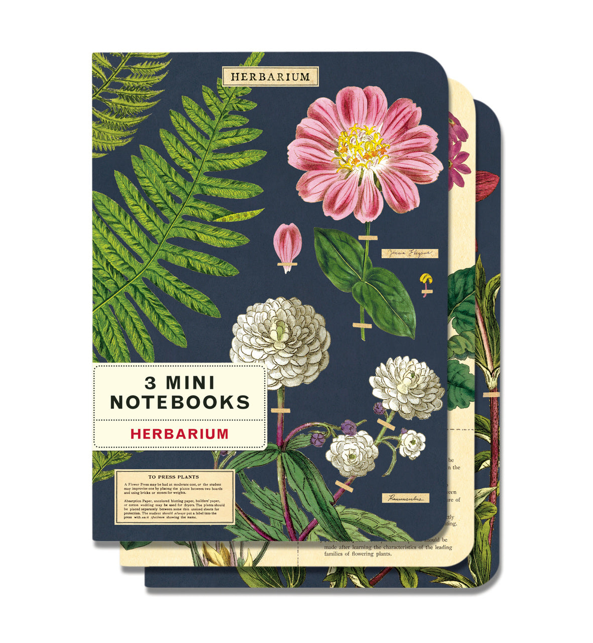 Cavallini & Co. Mini Notebooks (Set of 3)