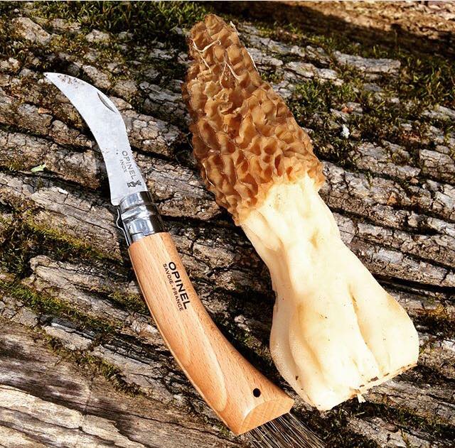 Opinel No. 08 Mushroom Knife