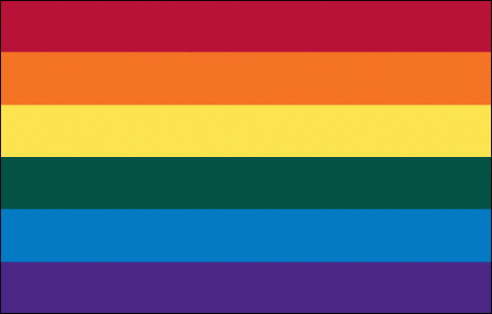 Pride Rainbow Flag – The Bee's Knees & The Travel Bug