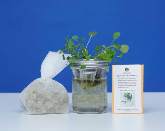 SucSeed Happy Growing Micro Garden Kit