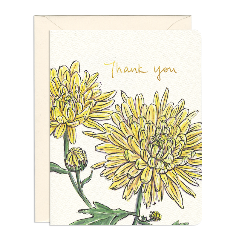 Thank You and Encouragement Greeting Cards by Gotamago