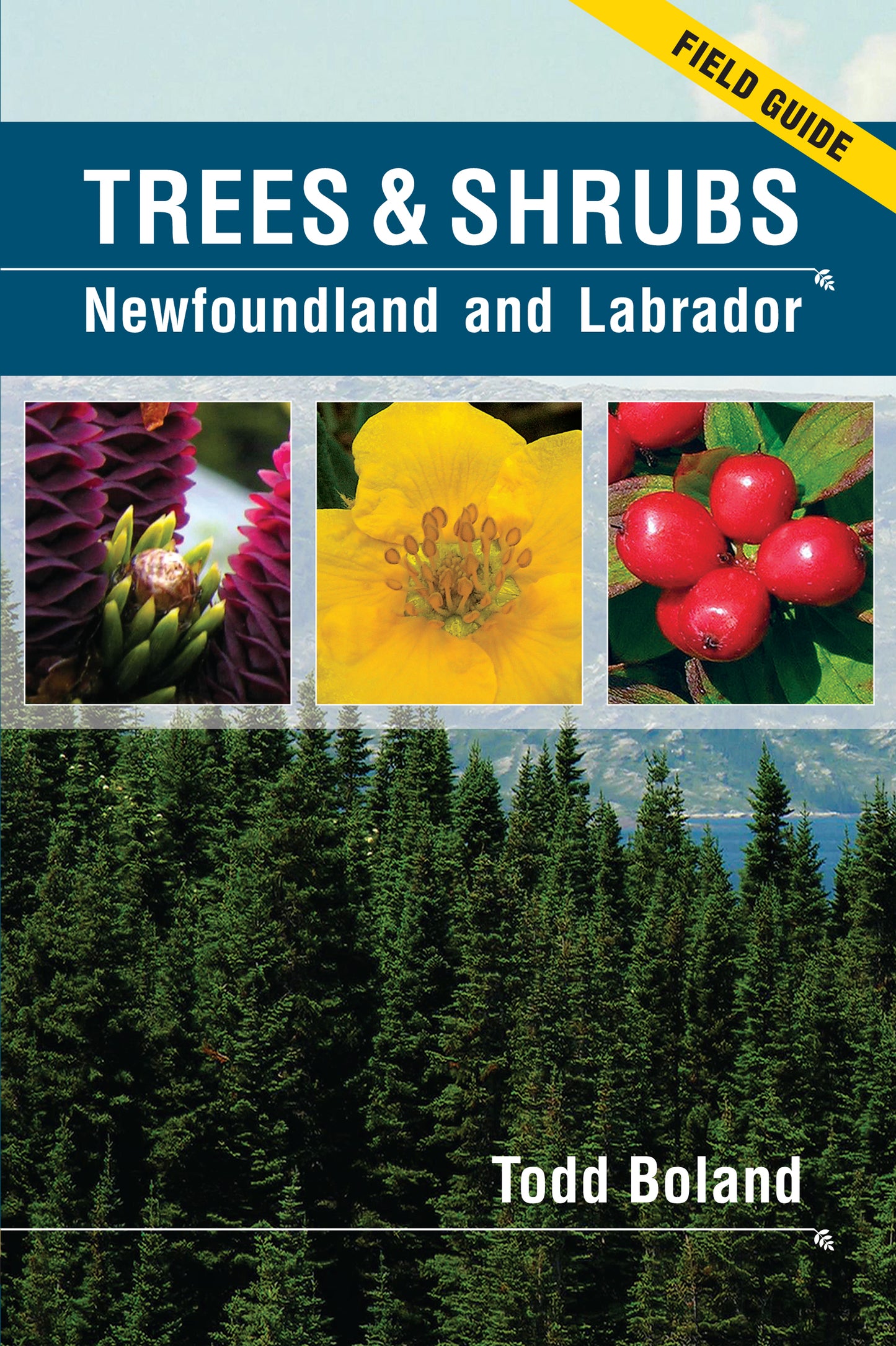 Field Guide: Trees and Shrubs of Newfoundland by Todd Boland
