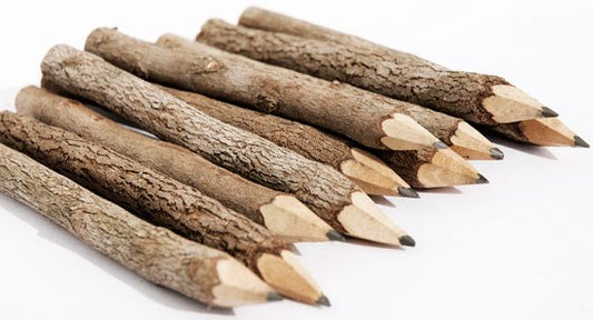 Rustic Wooden Twig Pencil