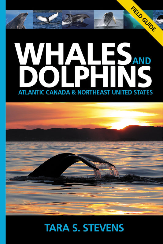 Field Guide: Whales and Dolphins of Atlantic Canada & Northeast United States by Tara S. Stevens