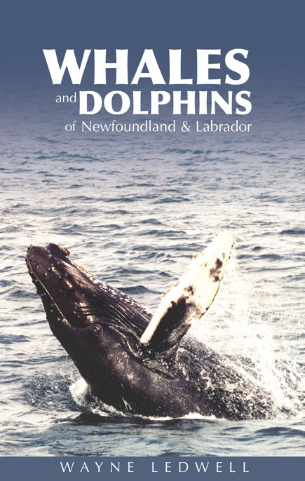 Whales and Dolphins of Newfoundland and Labrador by Wayne Ledwell
