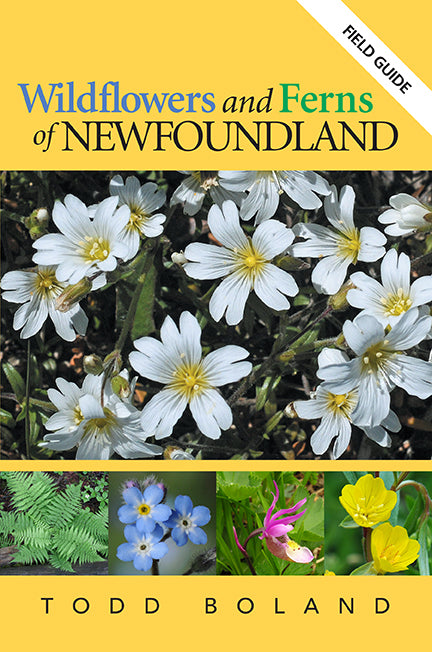 Field Guide: Wildflowers and Ferns of Newfoundland by Todd Boland