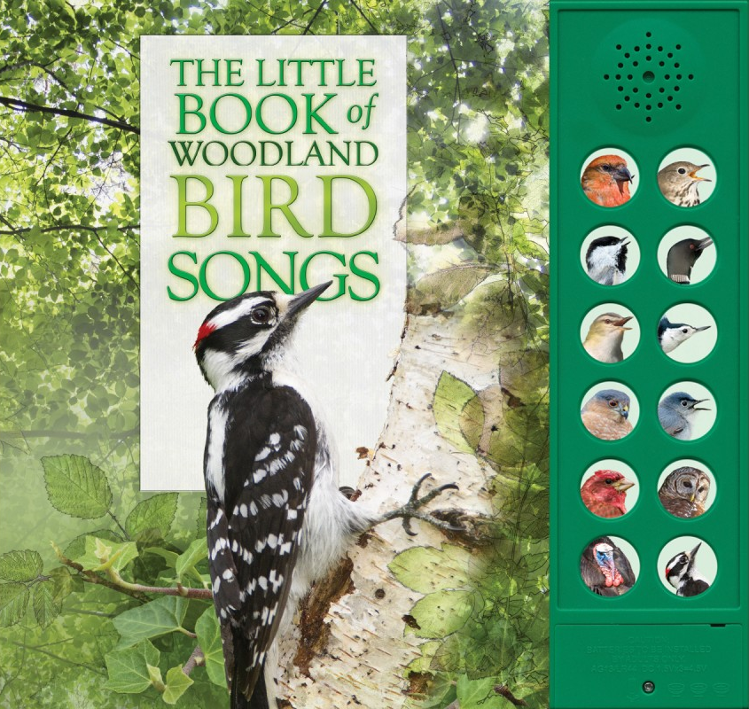 The Little Book of Woodland Bird Songs by Caz Buckingham & Andrea Pinnington