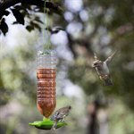 Biodegradable Bottle Bird Feeder from XDMODO